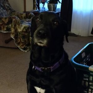 Meet your Posher, Carla